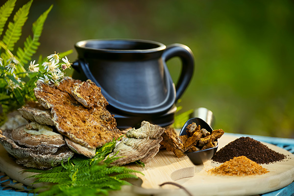 Cordyceps-caga-reishi